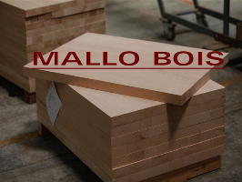 Mallo Bois Logo