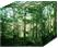 Ecube International Development Forest managers - forest harvesters - loggers
