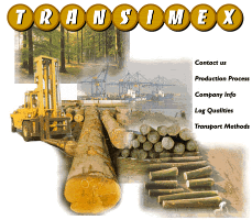 Transimex Logo