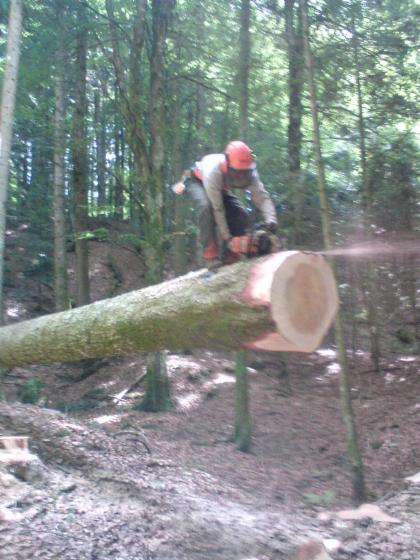 Felling