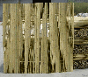 Offer bamboo fence
