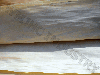 Sell rotary cut poplar veneer