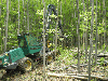 Débardage, Abatteuse, Timberjack 
