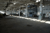 Polonia, Warehouse