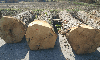 veneer logs, Oak (European), FSC