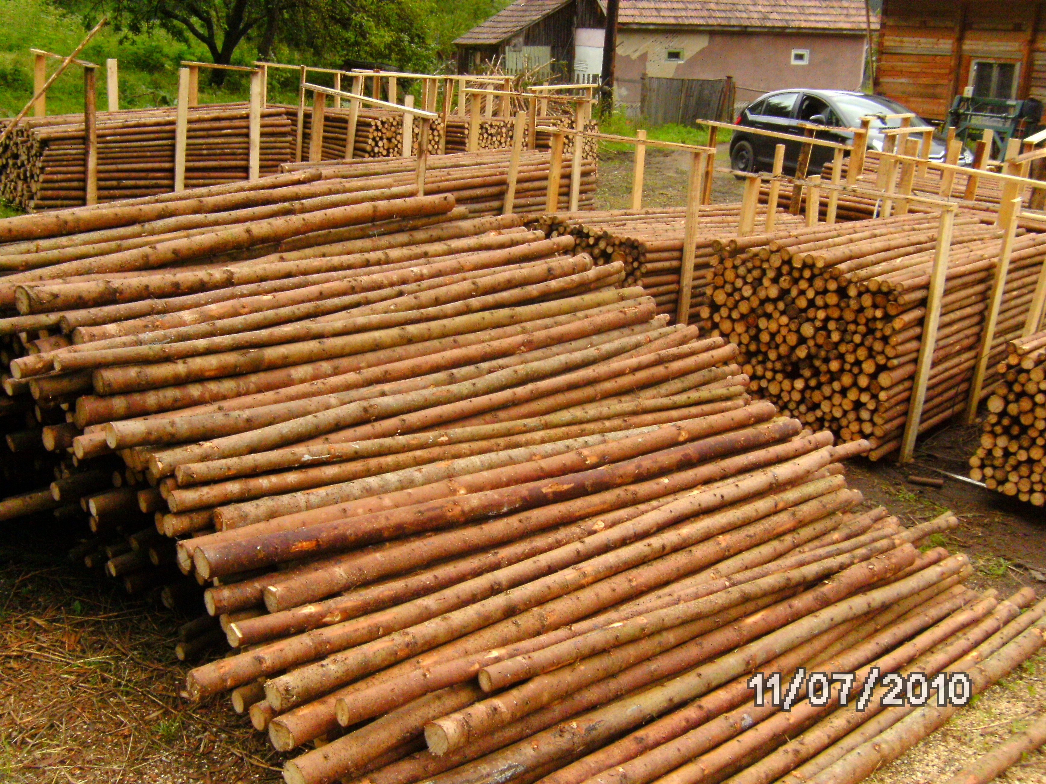 fir
