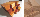 FJ and DL elements 72x86x6000 spruce (picea abies)