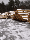 Hemlock/Pine/Ash LOGS