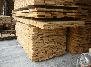 skirting chestnut kd