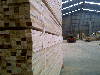 Spruce/Pine