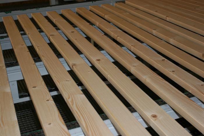 Fir/Spruce/Pine