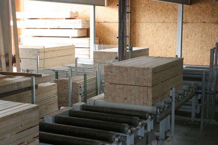 Fir/Spruce/Pine