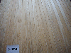Larch (Larix spp.)