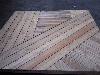 Larch (Larix spp.)