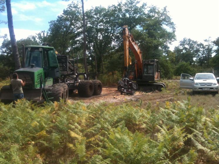 Mechanized felling
