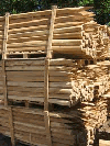stakes, Acacia