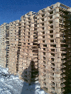 A wide range of own make wood pallets free of debris, back, stains, de