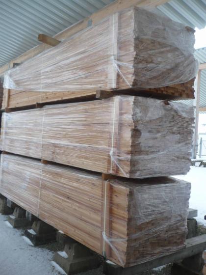 Larch (Larix spp.)