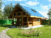 Canadian log house, Masson Pine (Pinus Massoniana)