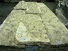 POPLAR MAPPA BURL