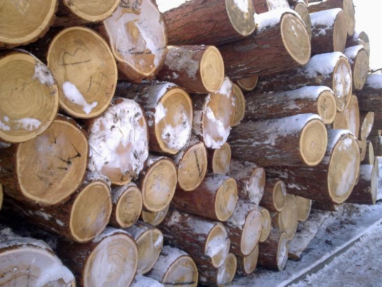 Loseware (unedged boards, sorted and bundled)