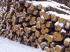 firewood, Beech (Europe)