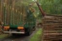 Road freight