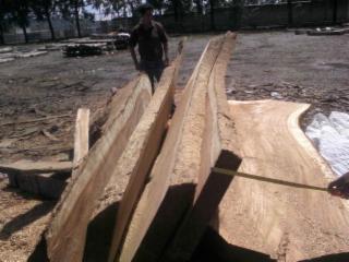Boules (unedged boards from single logs), Saman