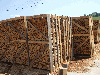 firewood, Beech (Europe)