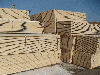 White timber wood out from spruce and fir for construction