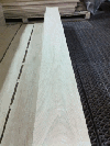 oak lamella dryied in fresh