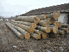 saw logs, Beech/Oak