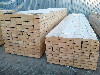 sell softwood timber
