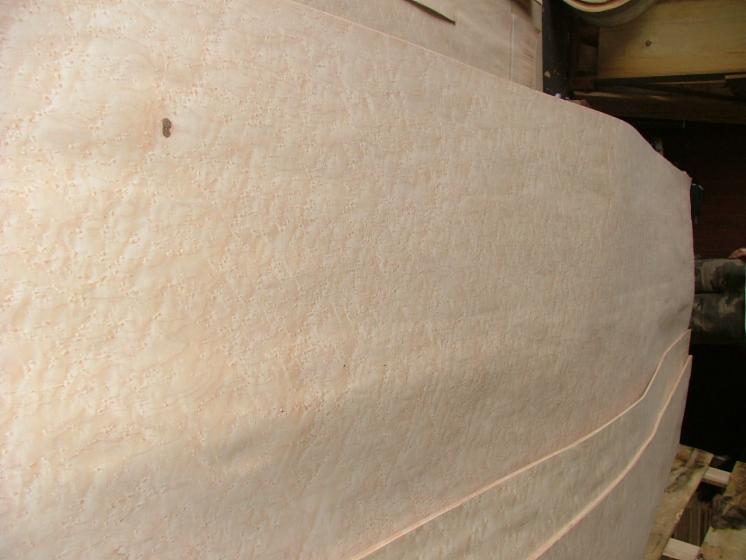 Maple (American Hard Maple, Sugar Maple), Rotary cut