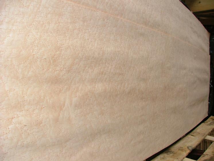 Maple (American Hard Maple, Sugar Maple), Rotary cut