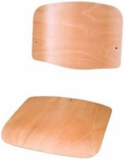 Hardwood (Temperate)