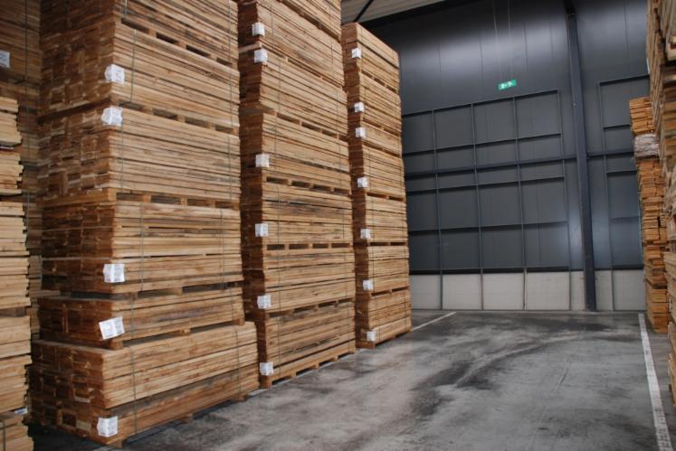 Planks (boards), Oak (European)