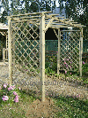 Pin rosu, Pergola, FSC