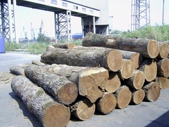 saw logs