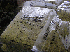 High quality sawdust 6 mm pellets - summer season prices