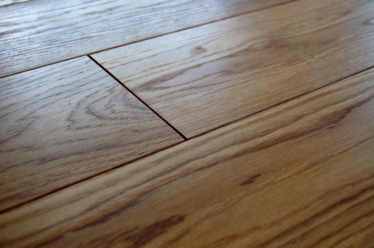 Oak (European)
