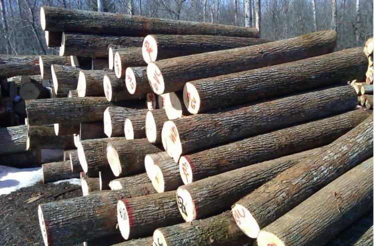Loseware (unedged boards, sorted and bundled)