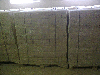 firewood, Beech (Europe)