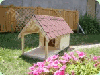 Spruce (Picea abies) - Whitewood, Dog House