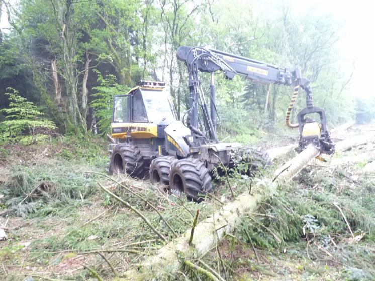 Skidding   Forwarding, Harvester