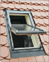 Windows, Beech (Europe)