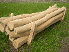 stakes, Acacia