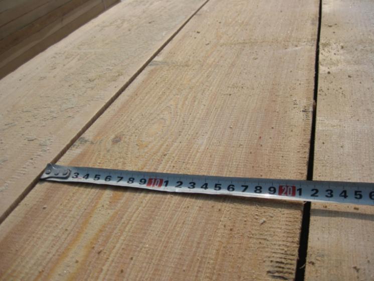 Larch (Larix