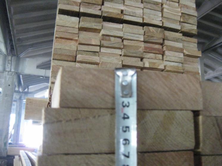 Larch (Larix