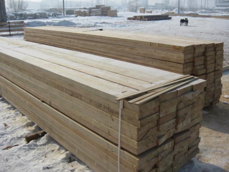 Larch (Larix